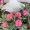 100-Pack: Hot Pink Carnation Picks, 5&#x22; Stems, 3.5&#x22; Wide by Floral Home&#xAE;